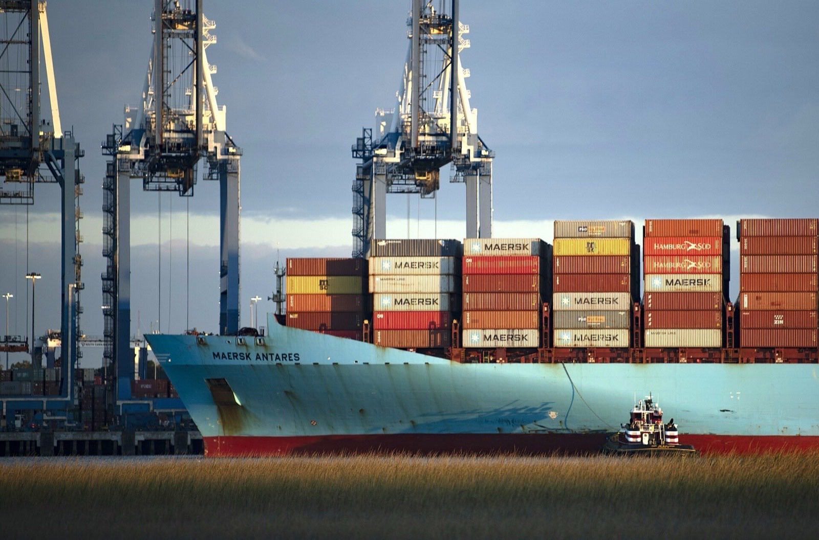 Container cranes at a busy commercial port.